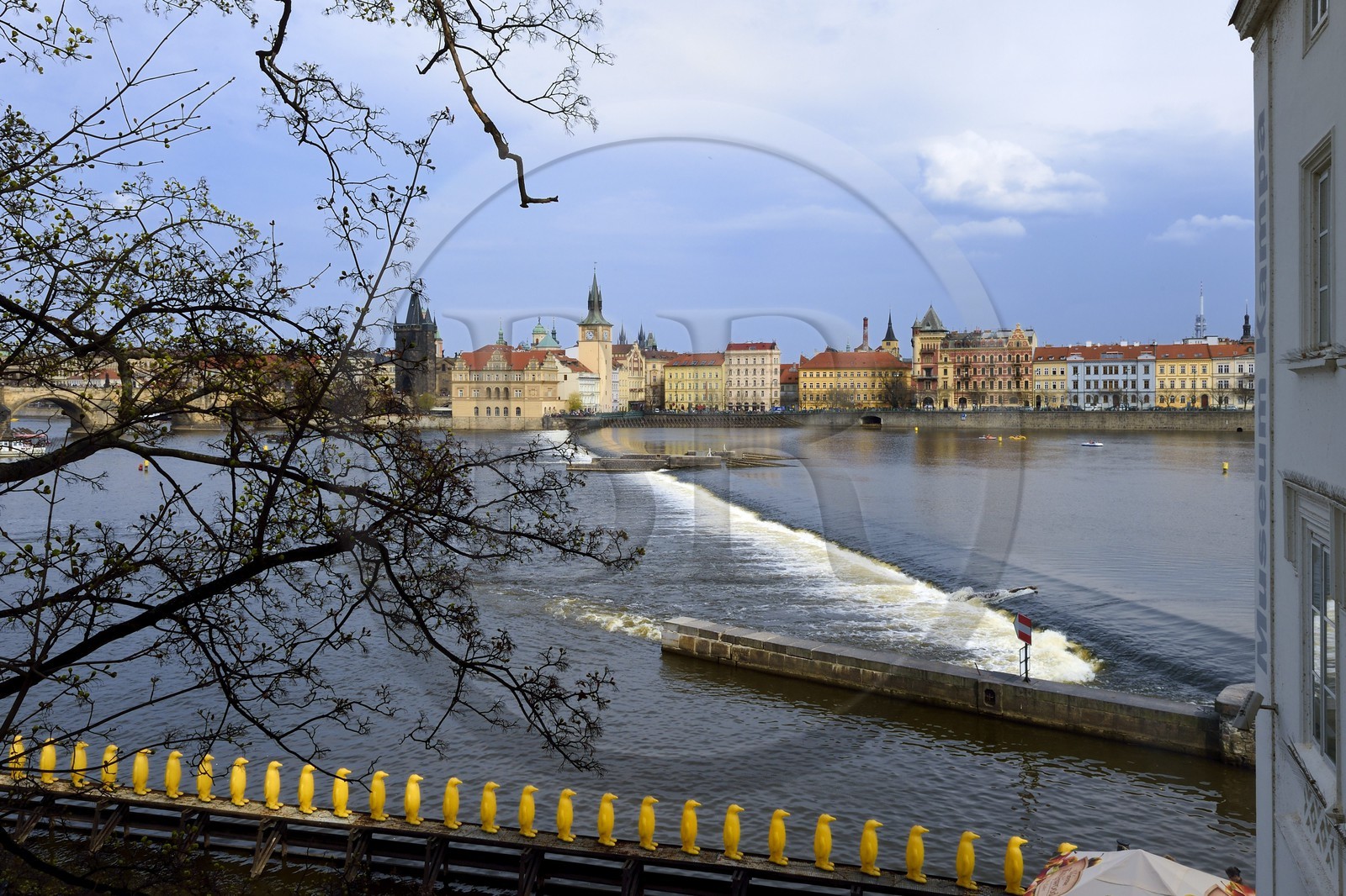 Czech Republic, Prague, Kampa district, 34 yellow penguins on the Vltava River installed by the artist group Cracking Art Group at the foot of the Kampa Museum