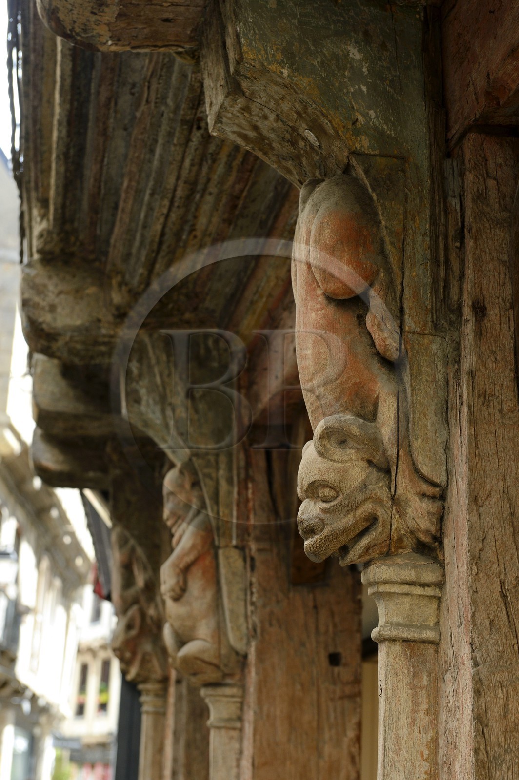 France, Morbihan, Gulf of Morbihan (Golfe du Morbihan), Vannes, 13 rue Saint Salomon, fantastic animals carved in wood decorate the half-timbered house Maison aux Lions