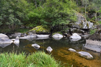 France, Lozère (48), Parc naturel régional de l'Aubrac, Saint-Juéry, les gorges de la rivière Bès