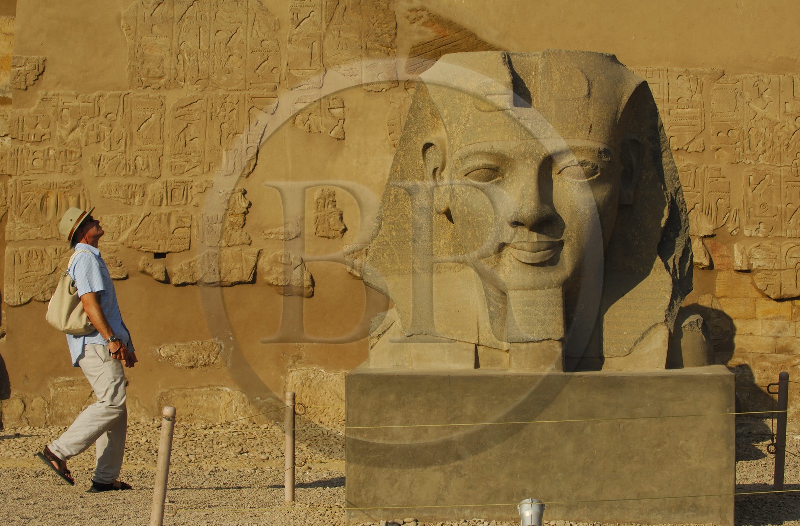 Egypte, Haute Egypte, vallée du Nil, temple de Louxor classé Patrimoine Mondial de l'UNESCO, tête de Ramses II devant le 1er pylone