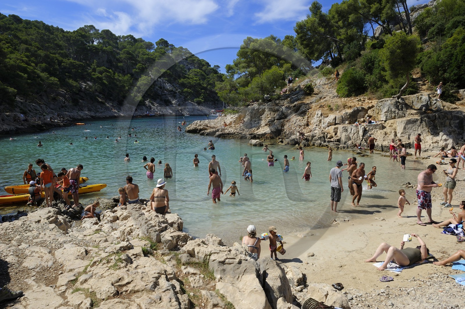 France, Bouches-du-Rhône (13), Cassis, la calanque de Port-Pin
