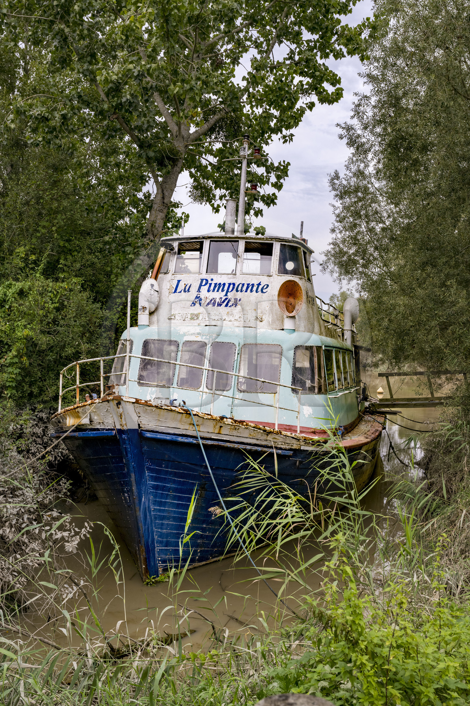France, Loire-Atlantique (44), Saint-Jean-de-Boiseau, Chantier Marlo, charpente navale, le bateau La Pimpante en attente de réfection
