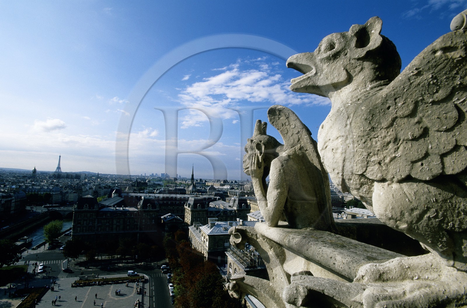 France, Paris (75), île de la Cité, Notre-Dame de Paris, gargouille avec vue sur Paris