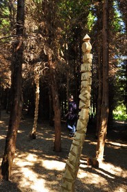 Norvège, Rogaland, région de Stavanger, Land Art sur l'île de Bru (Stavanger 2008), Forest of Words de Jorn Ronnau et Torild Wardenaer