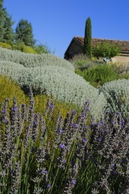 France, Var (83), Provence Verte, Bras, vers Saint-Maximin-la-Sainte-Baume, la maison d'hôtes Le Peyrourier, une campagne en Provence