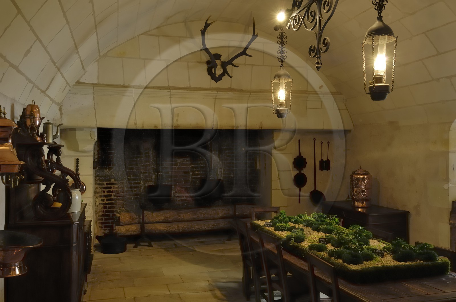 France, Indre-et-Loire (37), château de Chenonceau, les cuisines