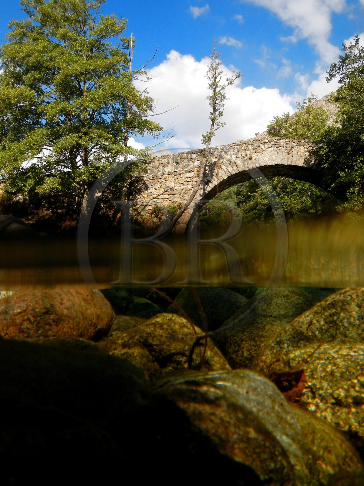 France, Haute-Corse (2B), région du Niolu (Niolo), pont génois de Murricciolu et les dessous de la rivière Calasima
