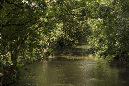France, Deux-Sèvres, le Marais Poitevin, Green Venice, Le Vanneau-Irleau, one of the countless canals