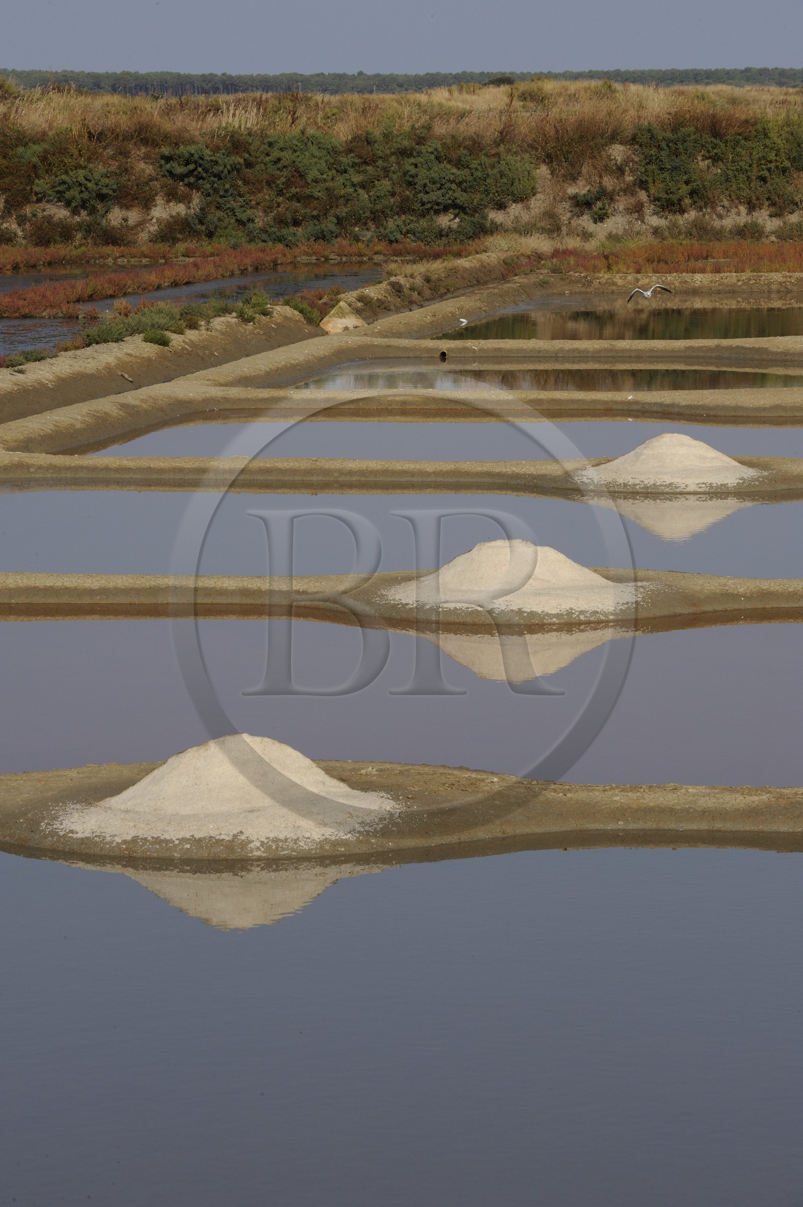 France, Loire-Atlantique (44), la Presqu'île de Guérande, tas de sel dans les marais salants