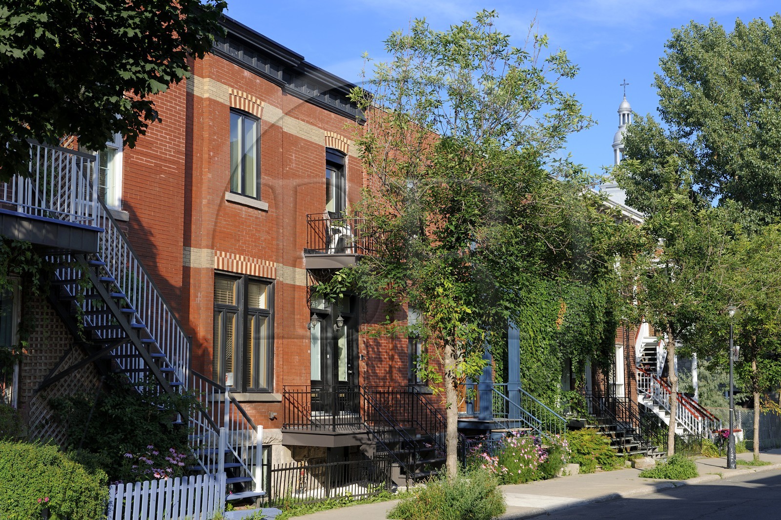 Canada, Quebec Province, Montreal, district of Plateau Mont Royal