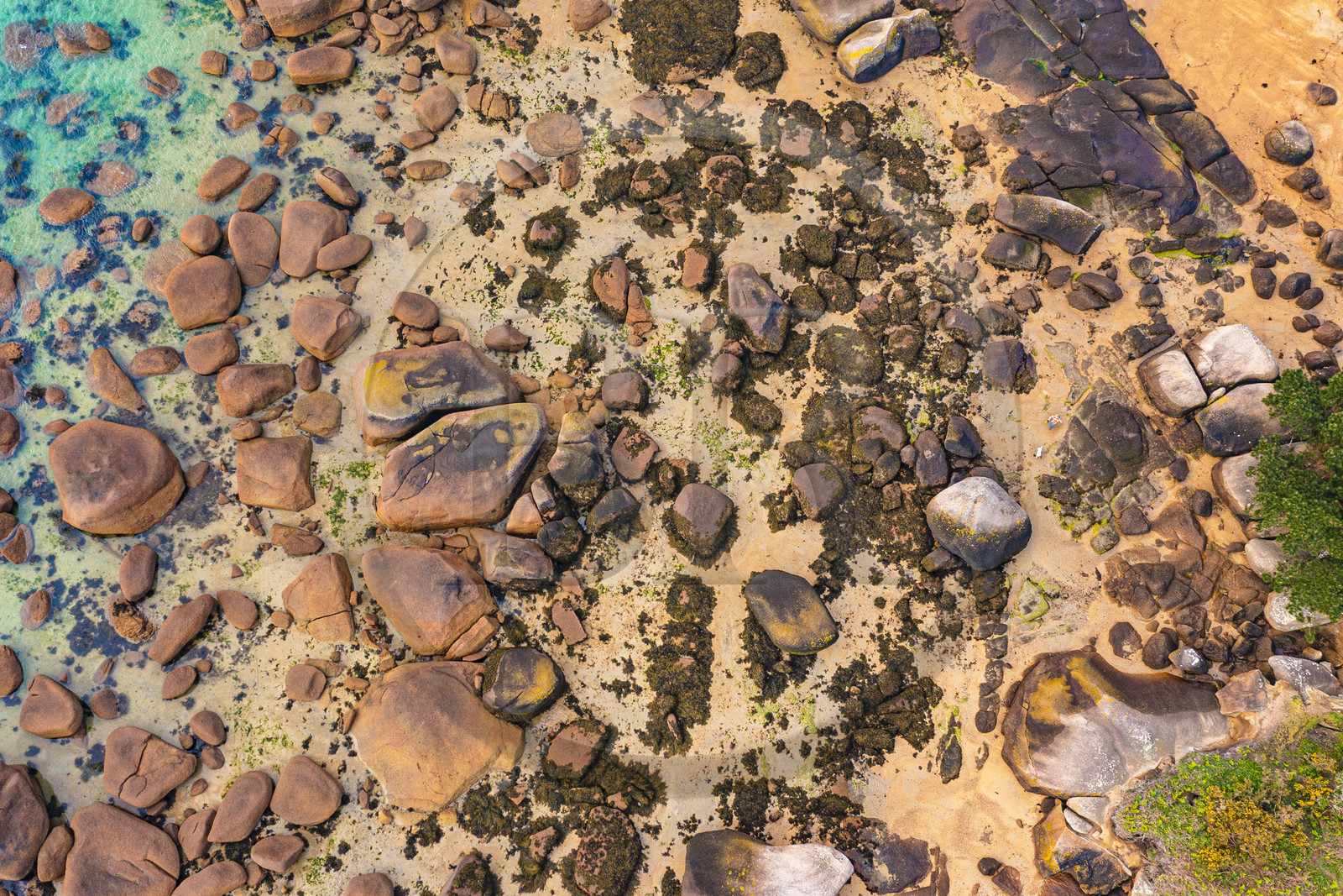 France, Cotes-d'Armor, Cote de Granit Rose, Trégastel, Renote island, a walker and her dog in the granite chaos (aerial view)
