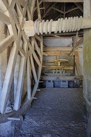 France, Loir-et-Cher (41), château de Talcy, pressoir tricentenaire