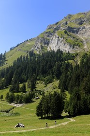 Suisse, canton de Vaud, Villars-sur-Ollon, vallée de Solalex dans le Parc naturel des Muverans