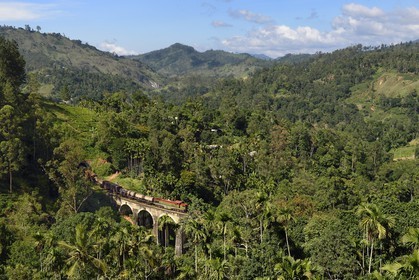 Sri Lanka, Uva Province, train on the railway track that goes through the tea growing hill country between Badulla and Ella, the Nine Arches bridge (1921) next to Ella