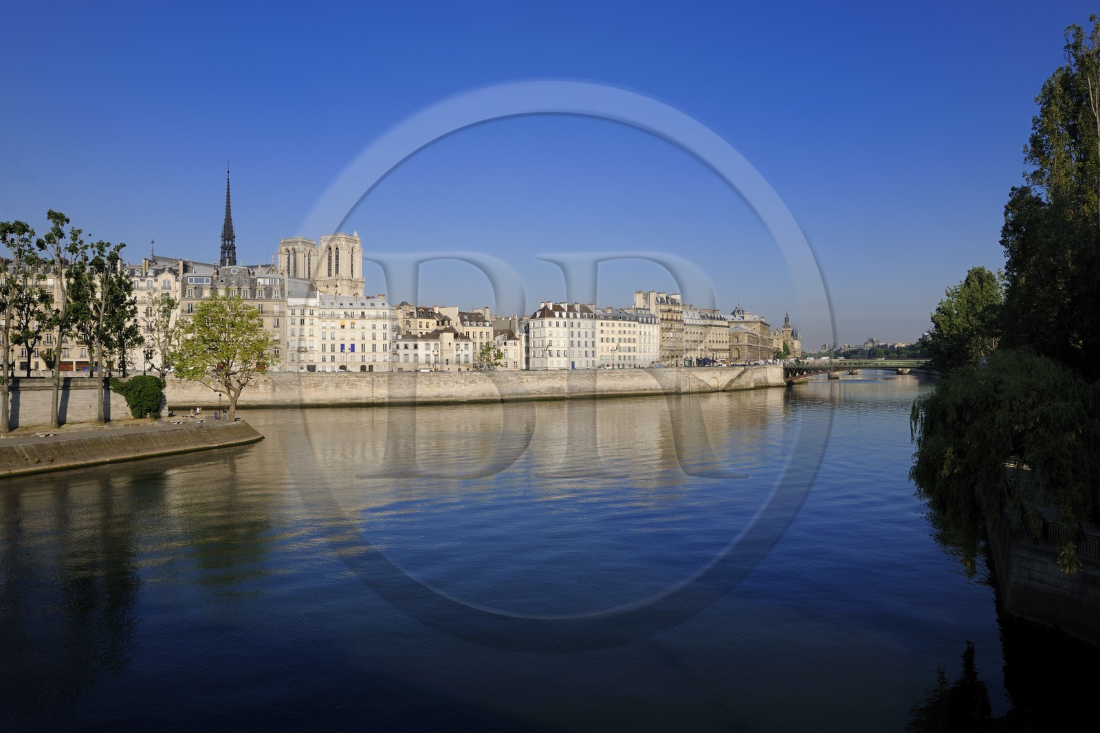 France, Paris (75), Ile de la Cité, Notre-Dame émergeant du quai aux fleurs et la pointe de l'île Saint-Louis sur la Seine