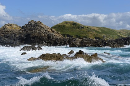 France, Côtes-d'Armor (22), Perros-Guirec, Ile Tomé