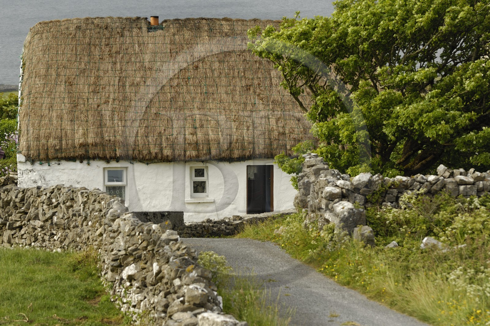 Irlande, Comté de Galway, Aran Islands, Inishmore, maison traditionnelle au toit de chaume