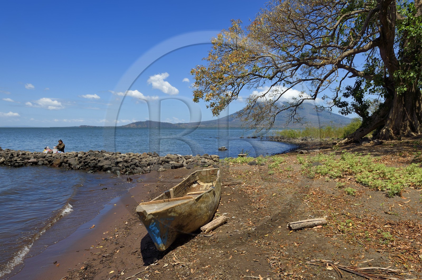 Nicaragua, Ile d'Ometepe sur le lac Nicaragua, village de Merida, femme faisant sa lessive dans le lac et le volcan Conception (1610 m) en arrière plan
