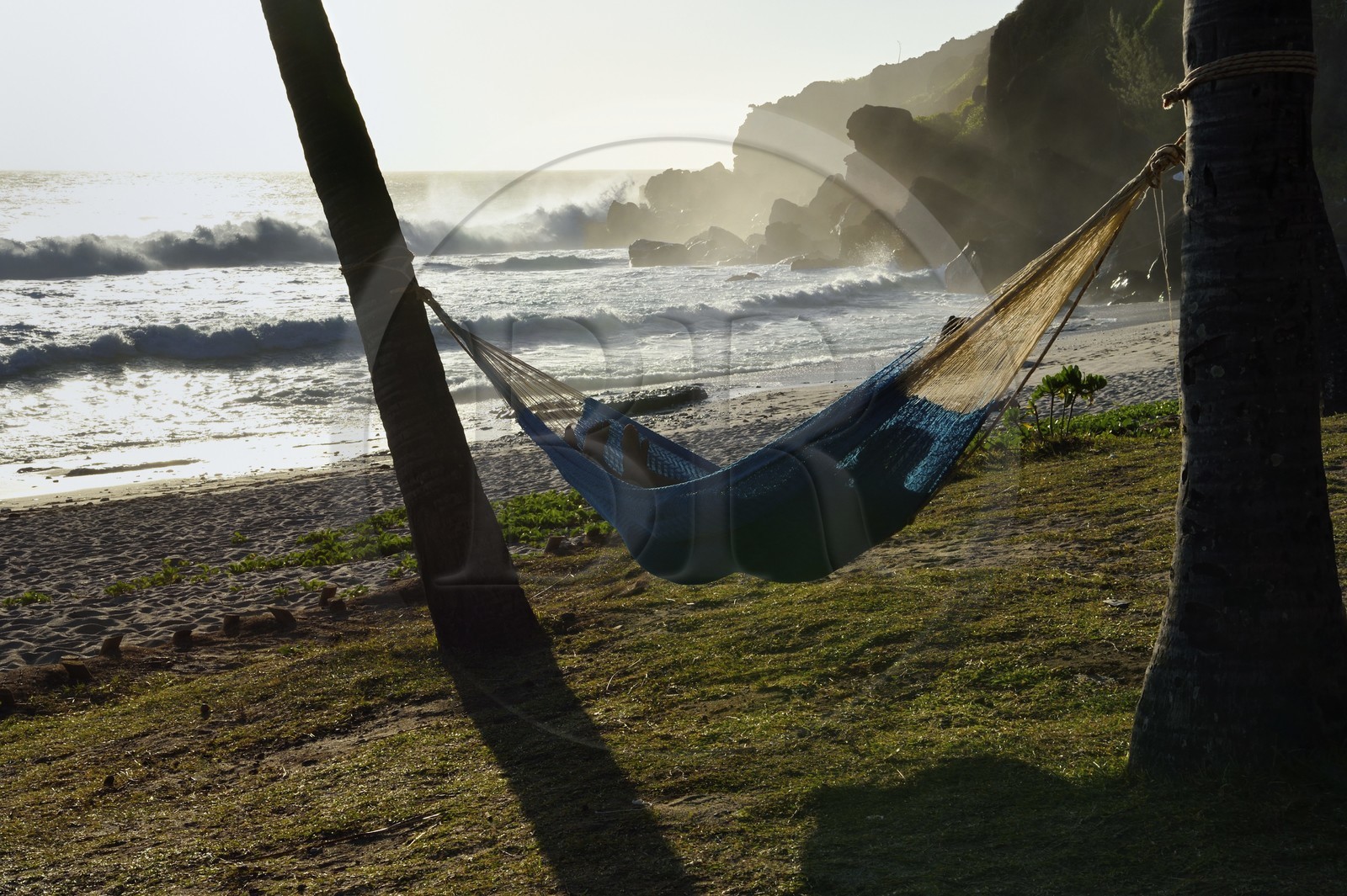 France, Ile de la Reunion, Petite-Ile sur la côte sud, plage de Grand-Anse, hamac tendu entre deux palmiers