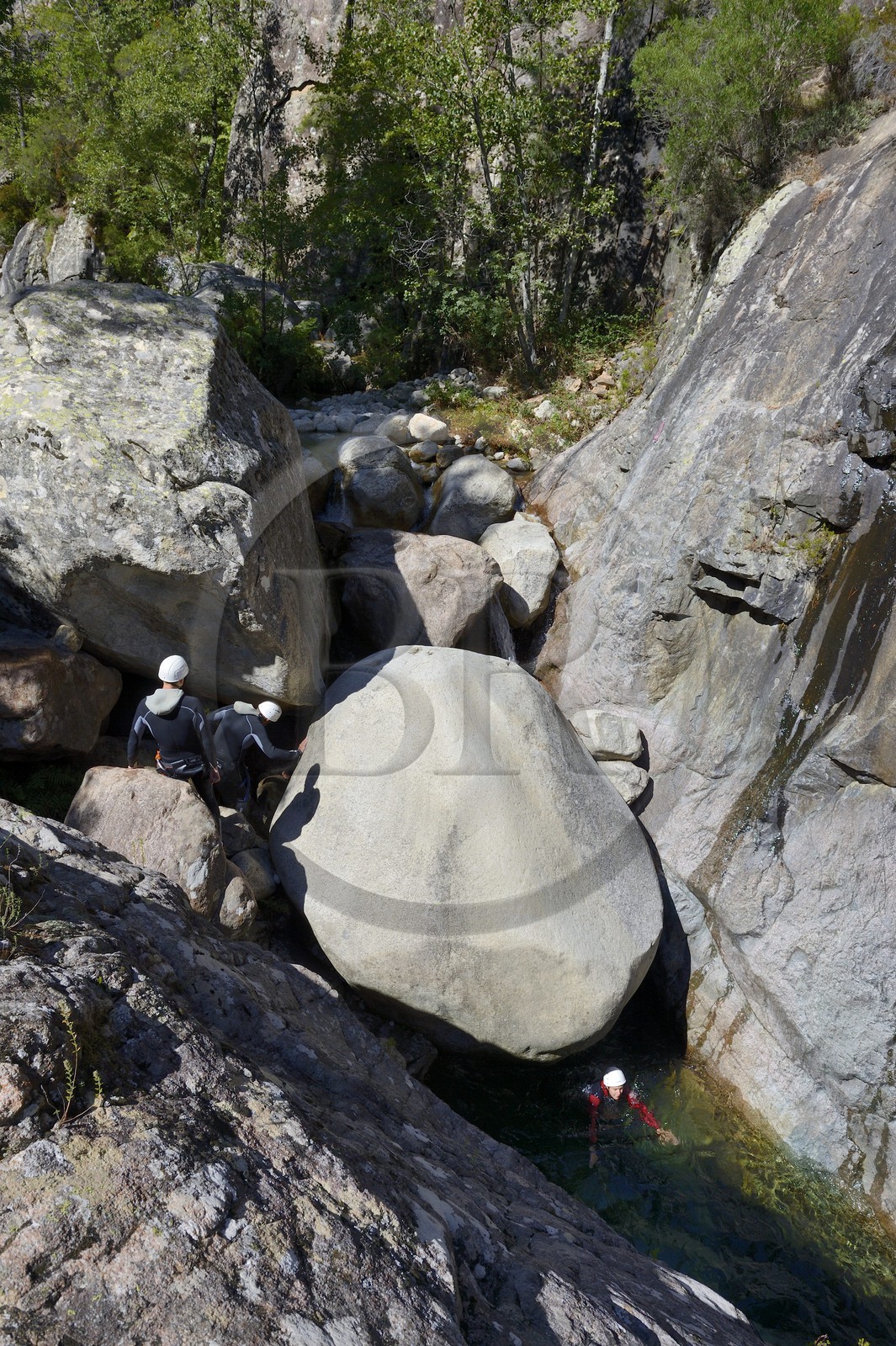 France, Corse-du-Sud (2A), Alta Rocca, Bavella, canyoning dans le torrent de Polischellu