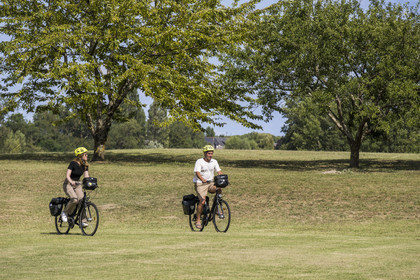 France, Maine-et-Loire, Loire valley listed as World Heritage by UNESCO, Gennes-Val-de-Loire, cycling on the banks of the Loire