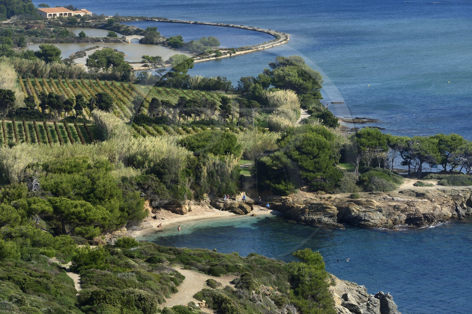 France, Var, Ile des Embiez, Pointe du Coucoussa, the Coucoussa beach