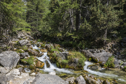 France, Hautes Alpes, Nevache, the Vallée Etroite (Narrow Valley) stream on the Italian border