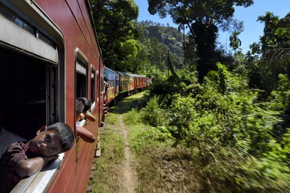 Sri Lanka, Uva Province, the popular scenic train ride through the tea growing hill country between Badulla and Ella