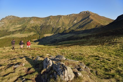 France, Cantal (15), Parc Naturel Régional des Volcans d'Auvergne, Le Lioran, col de Rombière, randonneurs sur le chemin de Saint-Jacques de Compostelle par la Via Arverna, le puy et les Fours de Peyre Arse en arrière plan