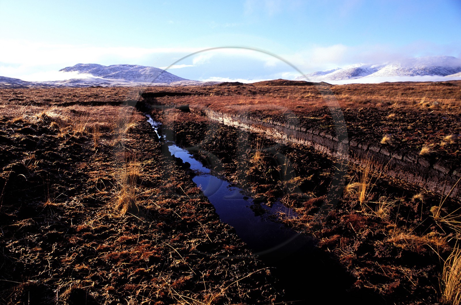 Irlande, Comté de Galway, Connemara, région de Scriob