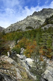 France, Haute Corse, Vivario, hiking on the GR 20, between Onda refuge and Vizzavona, Vizzavona forest, Englishmen cascades, waterfalls group in the Agnone valley under the Monte d'Oro