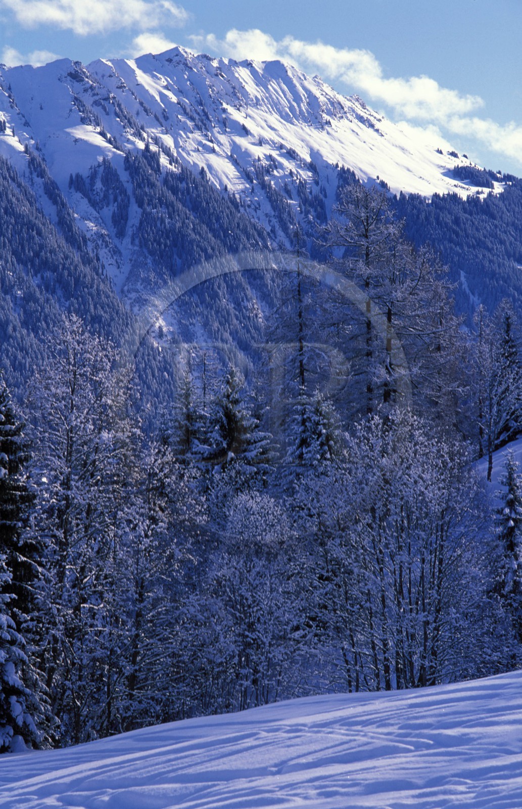 Switzerland, region of Bern (Bernese Oberland), Saanenland, the mountain in Gstaad