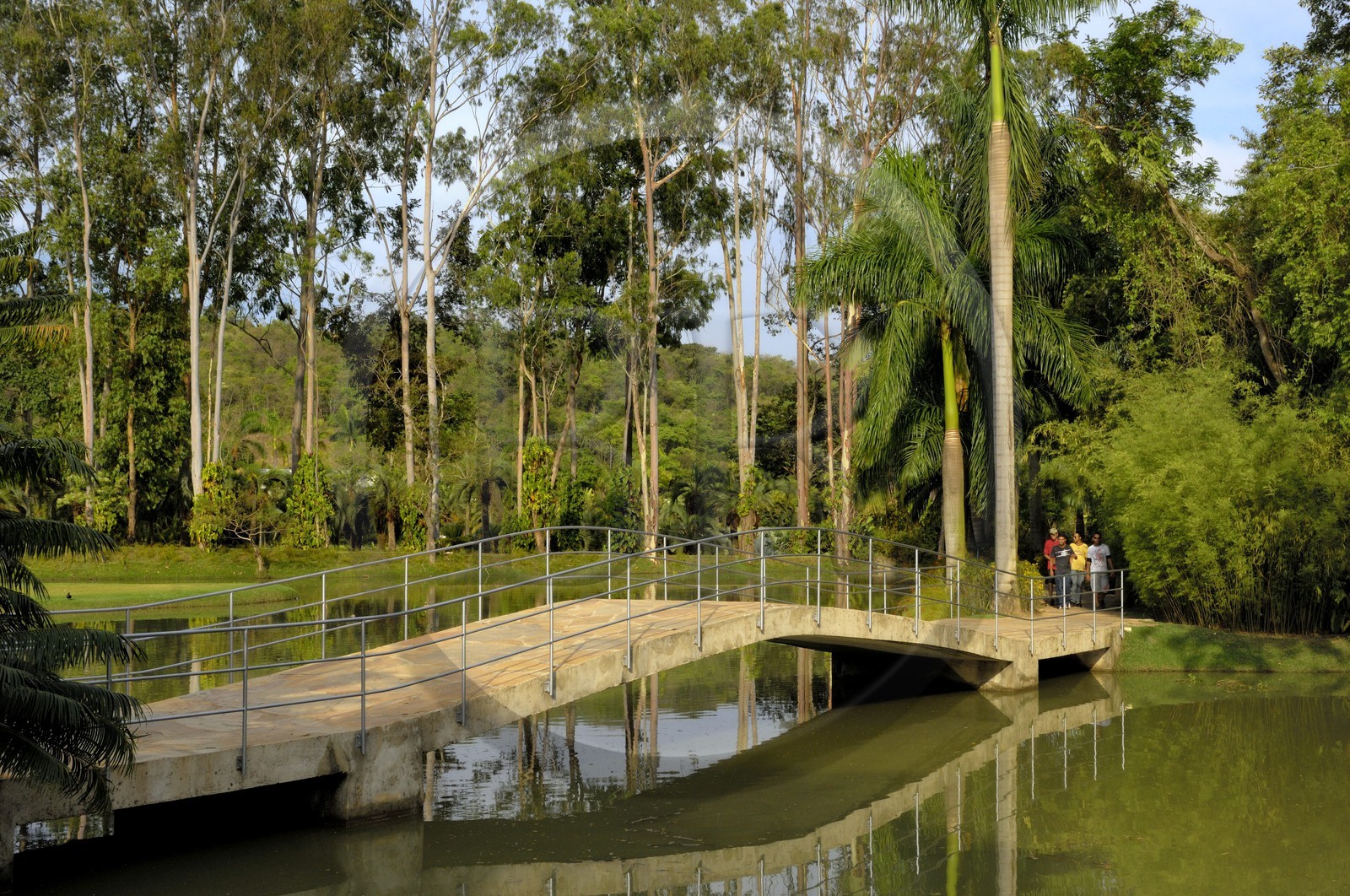 Brésil, Etat du Minas Gerais, région de Belo Horizonte, Brumadinho, centre d'art contemporain Inhotim