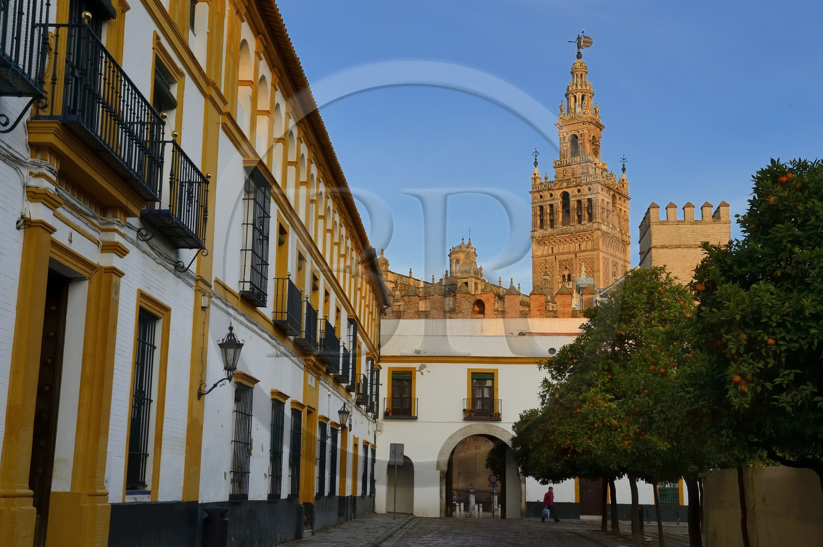 Espagne, Andalousie, Séville, la Giralda vue depuis la Cour des Drapeaux (Patio de Banderas)