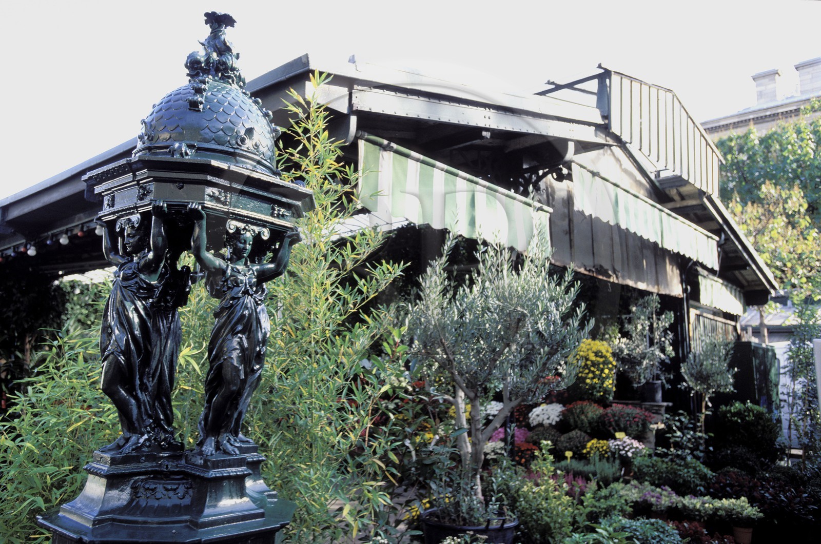 France, Paris (75), île de la Cité, le marché aux fleurs, fontaine Wallace
