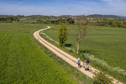 France, Haute-Loire (43), randonnée avec un âne sur le chemin de Stevenson (GR 70) entre Goudet et Ussel (vue aérienne)