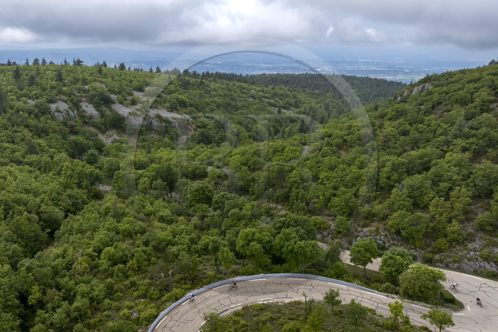 France, Vaucluse (84), Parc Naturel Régional du Mont Ventoux, Bedoin, ascension à vélo du Mont Ventoux par la route D974 sur le versant sud, route à travers une épaisse forêt de chênes (vue aérienne)