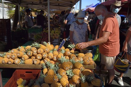 France, Ile de la Reunion, Saint-Pierre, le marché du samedi, les étals de fruits ananas