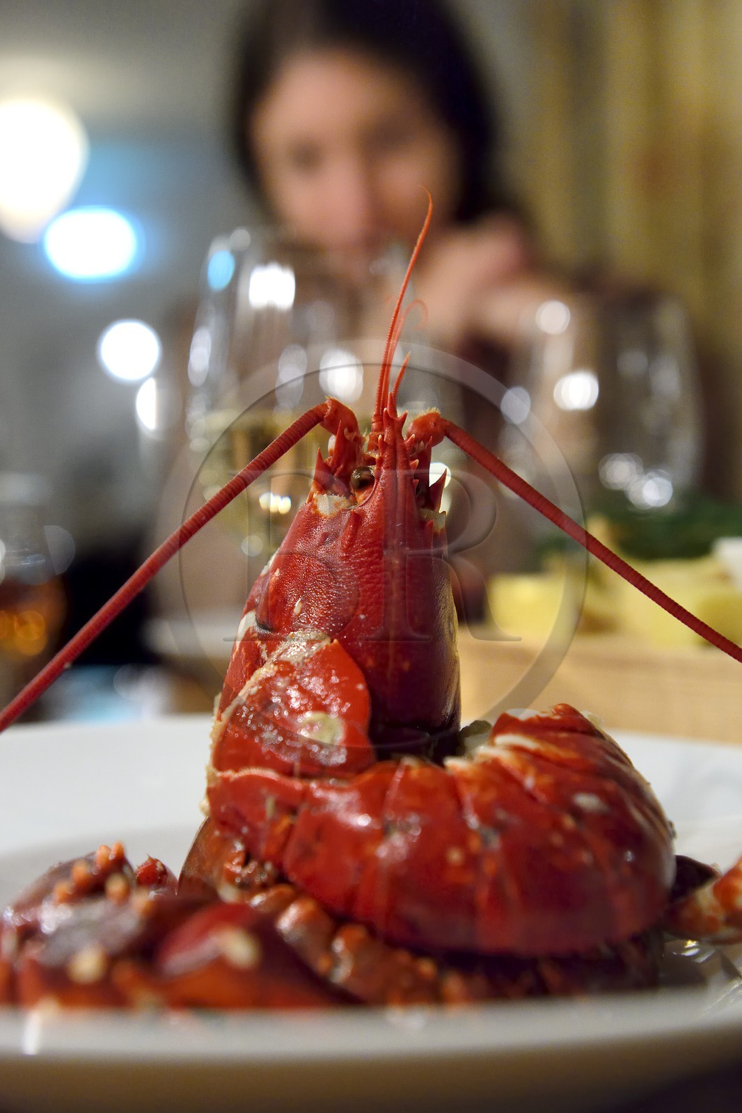 Suède, Västra Götaland, Iles Koster, Ekenäs, l'hotel Ekenäs, plat de homard