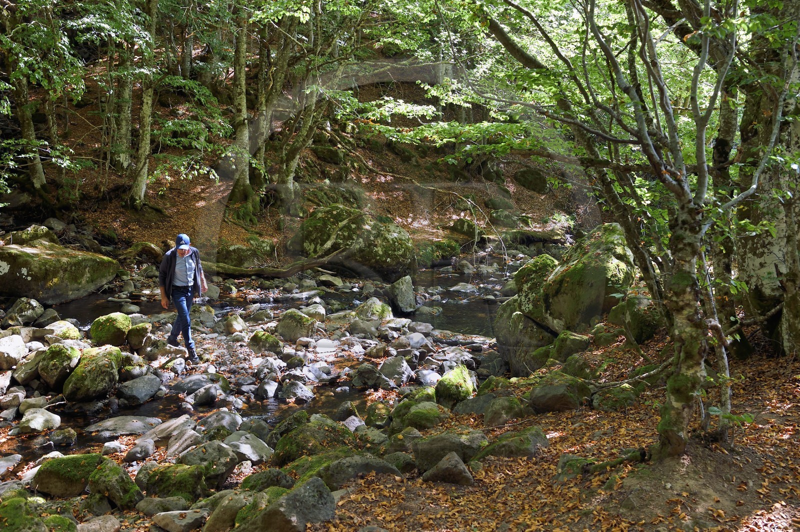 France, Cantal (15), Parc Naturel Régional des Volcans d’Auvergne, vallée de Brezons, hameau de Sanissage, ruisseau de Livernade à la cascade du Saut de la Truite