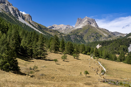 France, Hautes Alpes, Nevache, the Vallée Etroite (Narrow Valley) on the Italian border, hamlet of Les Granges, Mount Tabor and the Grand Séru (right) in the background