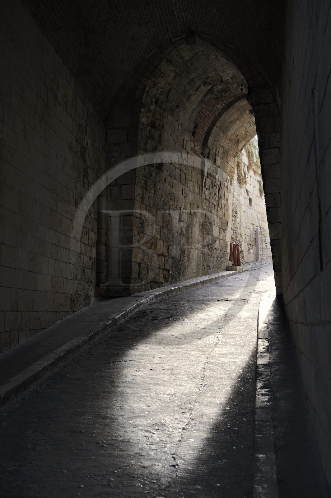 France, Indre et Loire (37), Vallée de la Loire classée Patrimoine mondial de l'UNESCO, château d'Amboise, la rampe d'accès