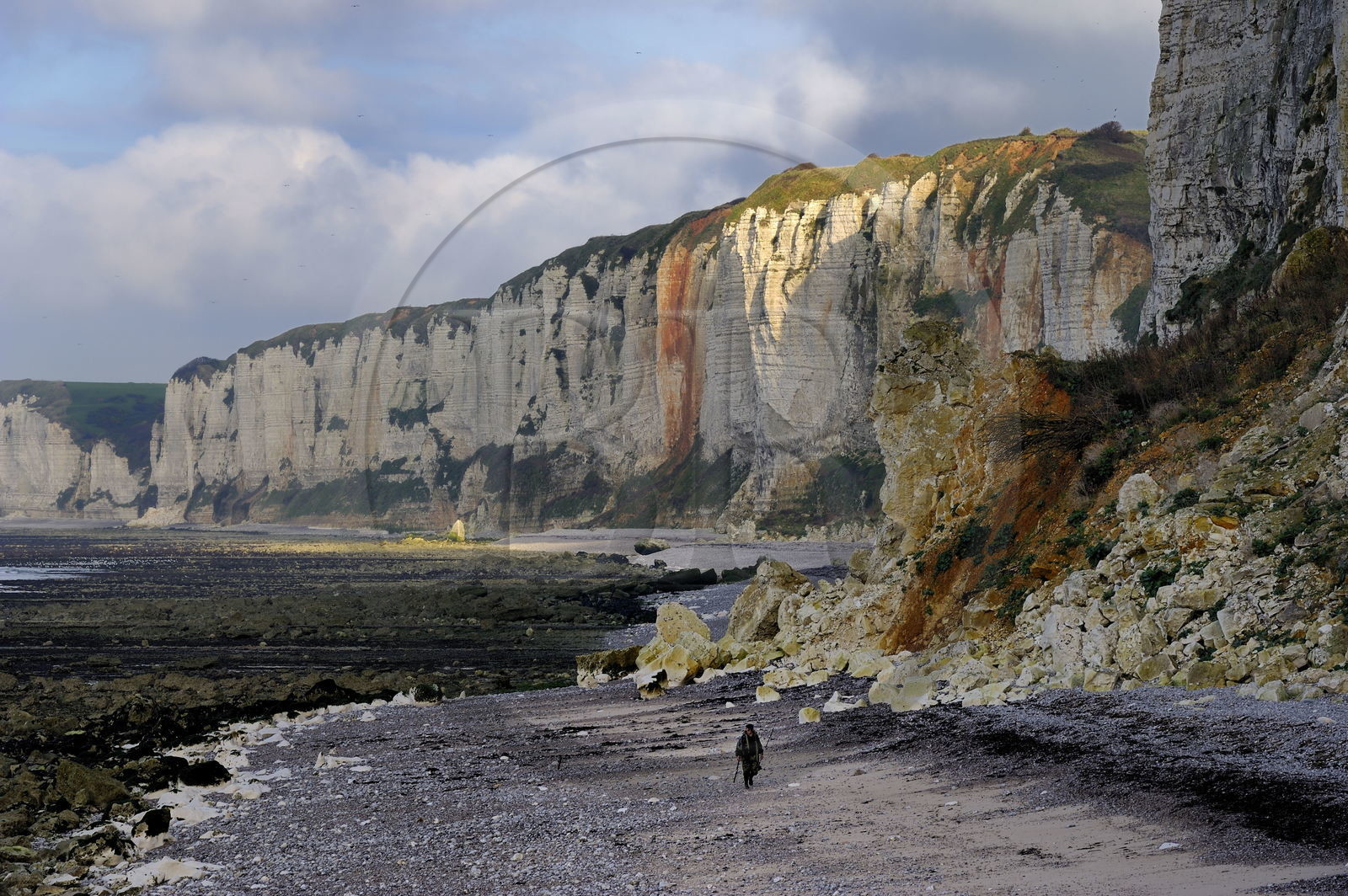 France, Seine-Maritime (76), Côte d'Albâtre, Yport, un pêcheur marchant sur la plage à marée basse au pied des falaises