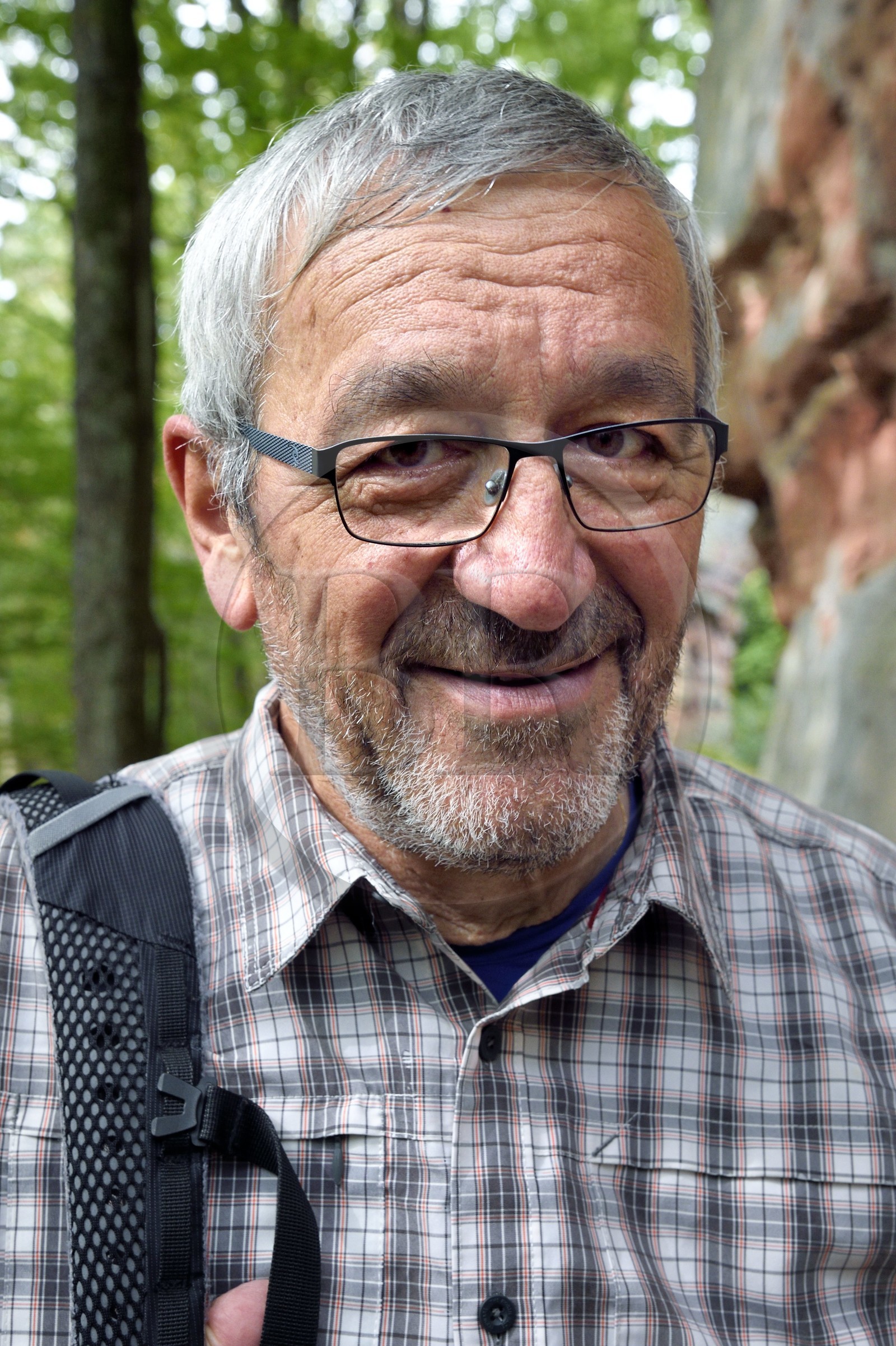 France, Bas Rhin, Northern Vosges Regional Natural Park, Niedersteinbach, Steinbach national forest, Jean-Louis Pfeffer vice president of the Club Vosgien federation