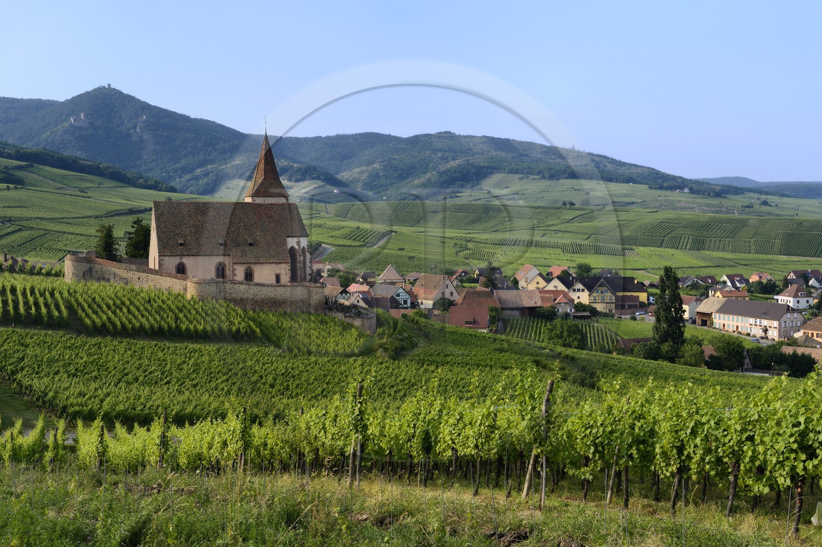 France, Haut-Rhin (68), Route des Vins d'Alsace, Hunawihr, labellisé Les Plus Beaux Villages de France, Eglise de Sainte-Hune