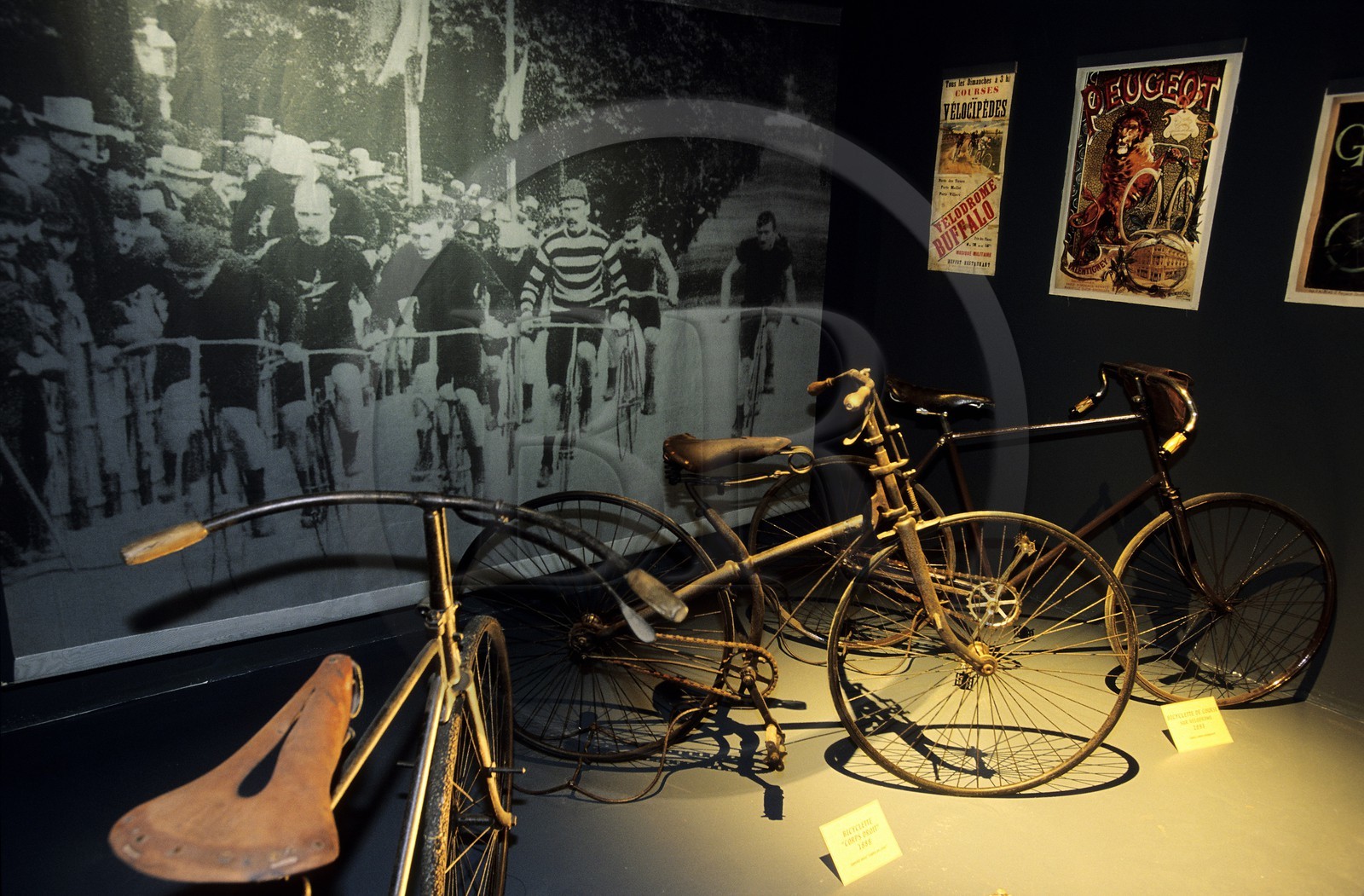 France, Sarthe (72), La Fresnaye-sur-Chedouet, musée de la belle échappée