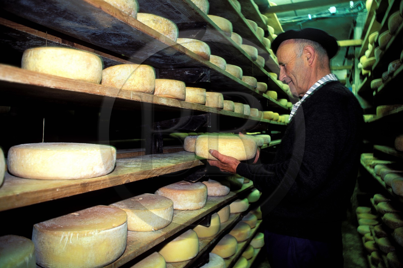 France, Hautes-Pyrénées (65), col de Soulor, P.Montauban dans la réserve de Lou Pastou, le saloir
