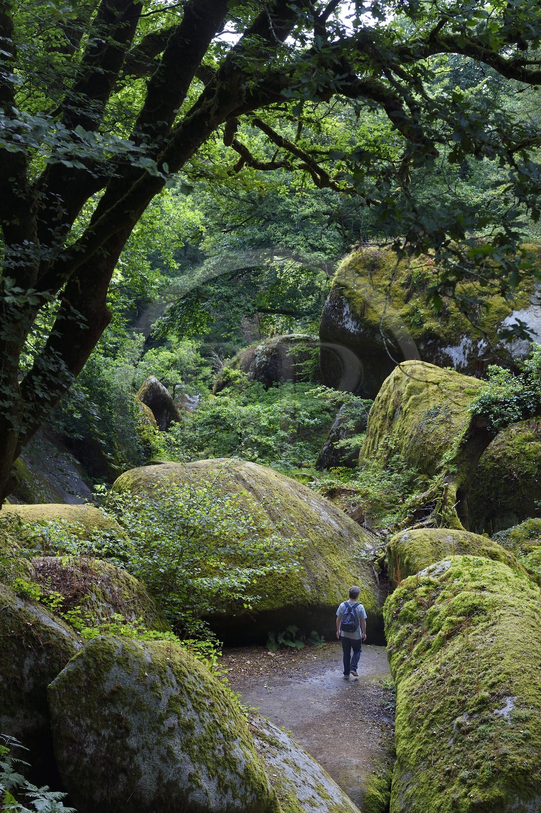 France, Finistère (29), parc naturel régional d'Armorique, Huelgoat, chaos granitique de la forêt du Huelgoat