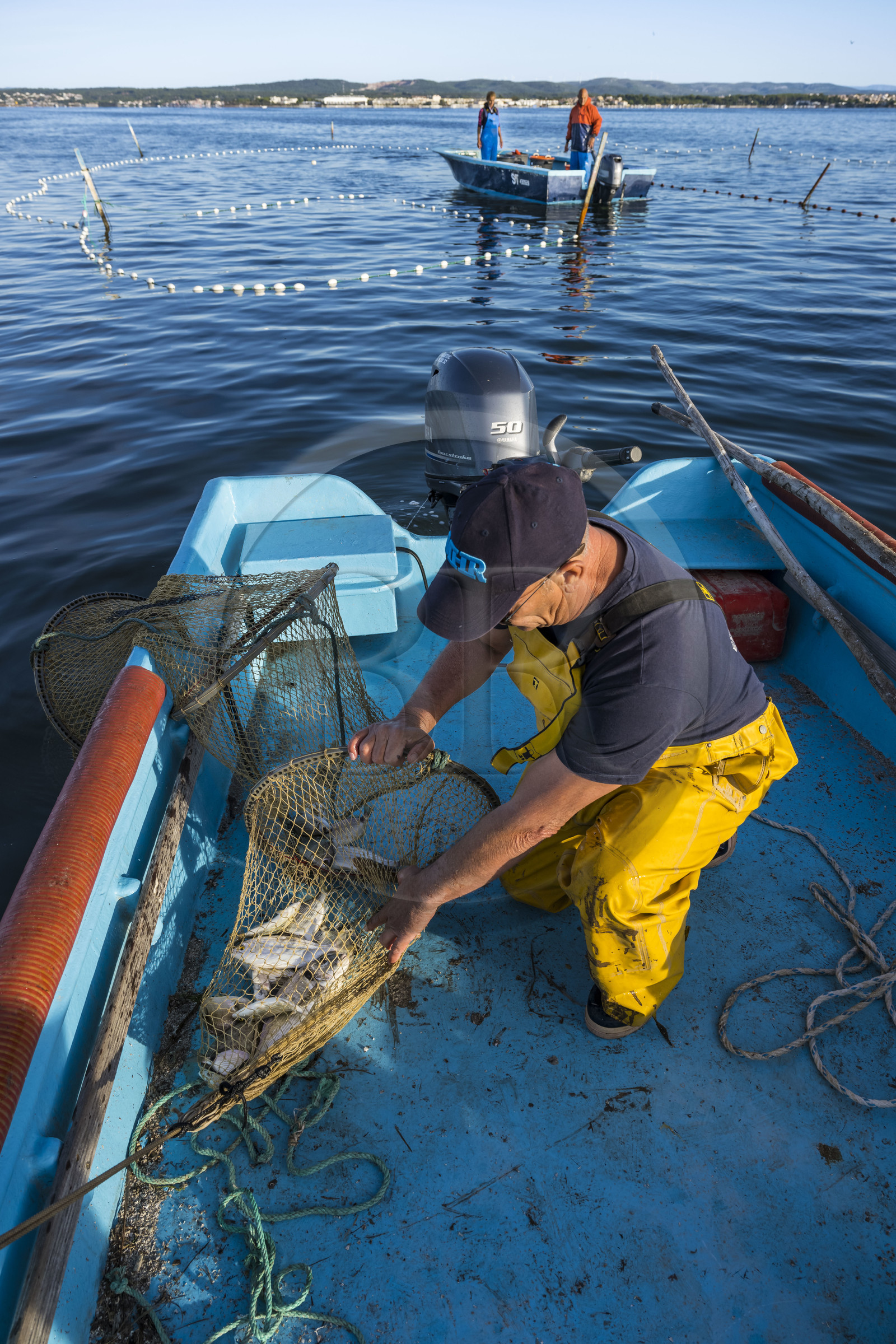 France, Herault, Sete, la Pointe Courte district, the fisherman Robert Rumeau lifts his nets on the Etang de Thau