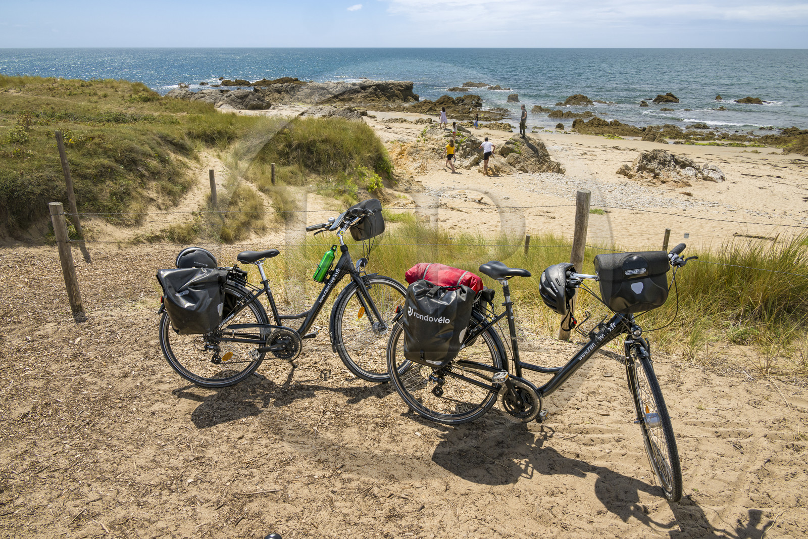 France, Vendée (85), île de Noirmoutier, Noirmoutier-en-l'Ile, plage des Lutins, randonnée à bicyclette